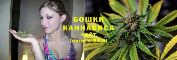 ПСИЛОЦИБИНОВЫЕ ГРИБЫ Навашино