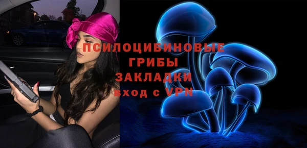 прущие грибы Дегтярск