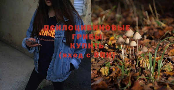 прущие крисы Нея