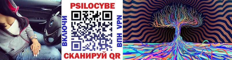 Псилоцибиновые грибы Cubensis  ссылка на мегу ссылка  Алагир  закладка 