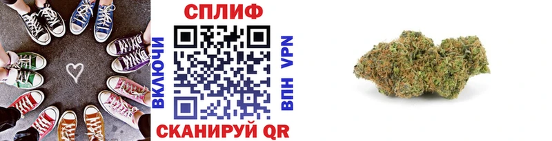 где продают   Алагир  Шишки марихуана гибрид 